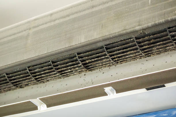 Best Best Air Duct Cleaning Company  in Madera Ranchos, CA